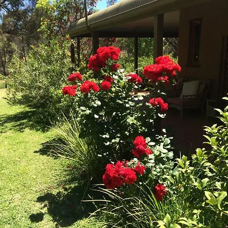Wildwood Guesthouse Mudgee Exterior photo
