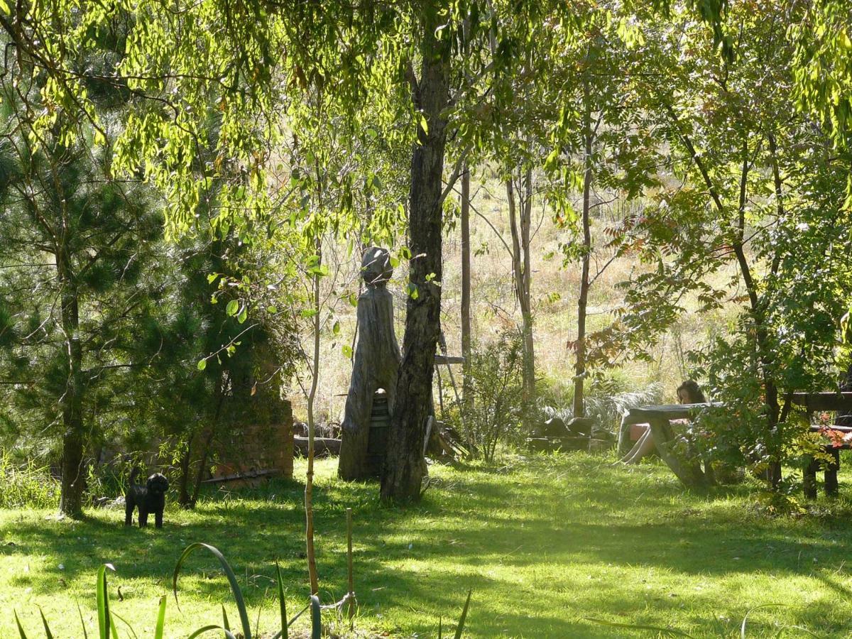 Wildwood * Mudgee