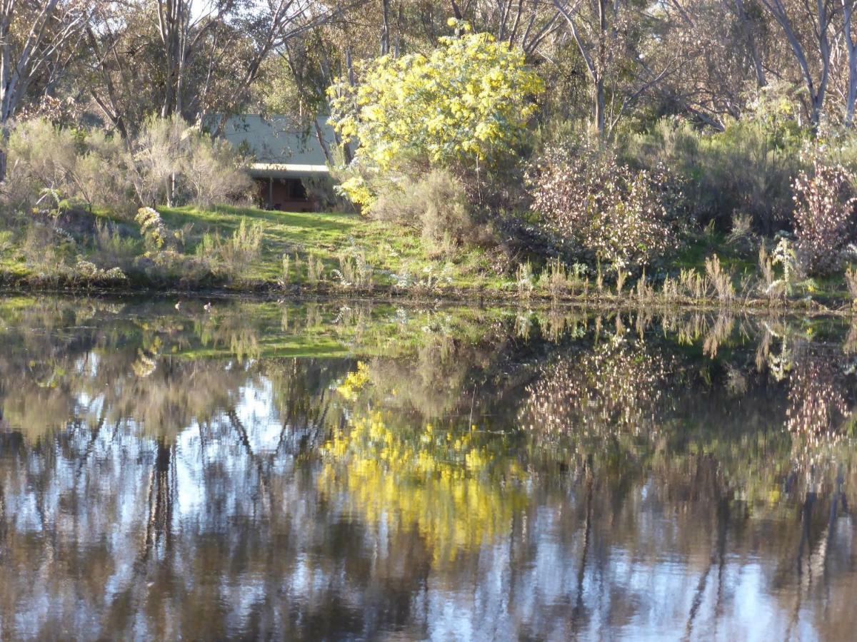 Wildwood Lodge *