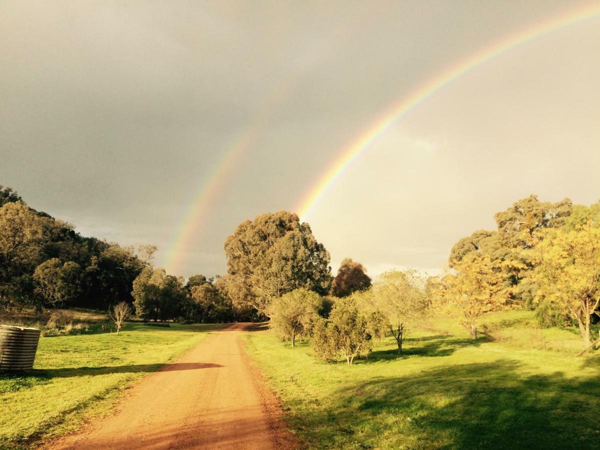 Lodge Wildwood Mudgee